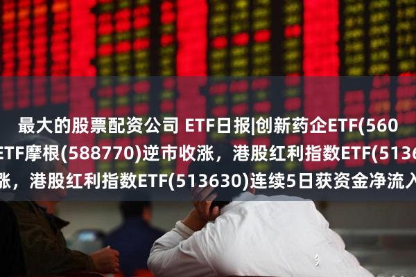 最大的股票配资公司 ETF日报|创新药企ETF(560900)、科创信息技术ETF摩根(588770)逆市收涨，港股红利指数ETF(513630)连续5日获资金净流入