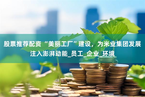 股票推荐配资 “美丽工厂”建设，为米业集团发展注入澎湃动能_员工_企业_环境