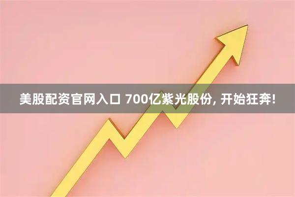 美股配资官网入口 700亿紫光股份, 开始狂奔!